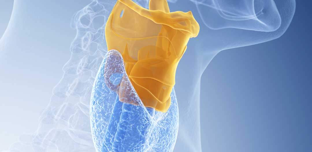 Comparacao entre videolaringoscopios - Doutor Aprende