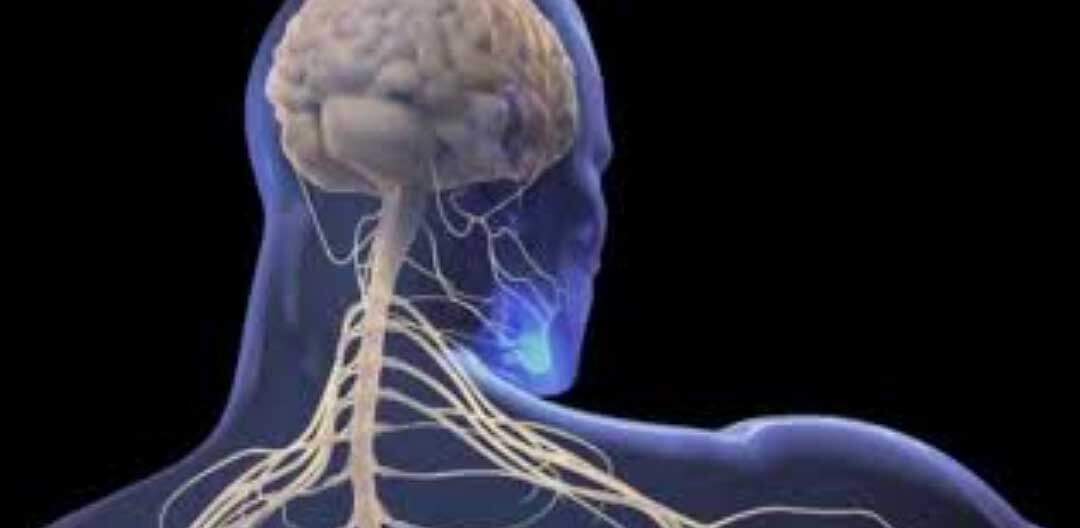 Analgesia guiada nociepcao - Doutor Aprende