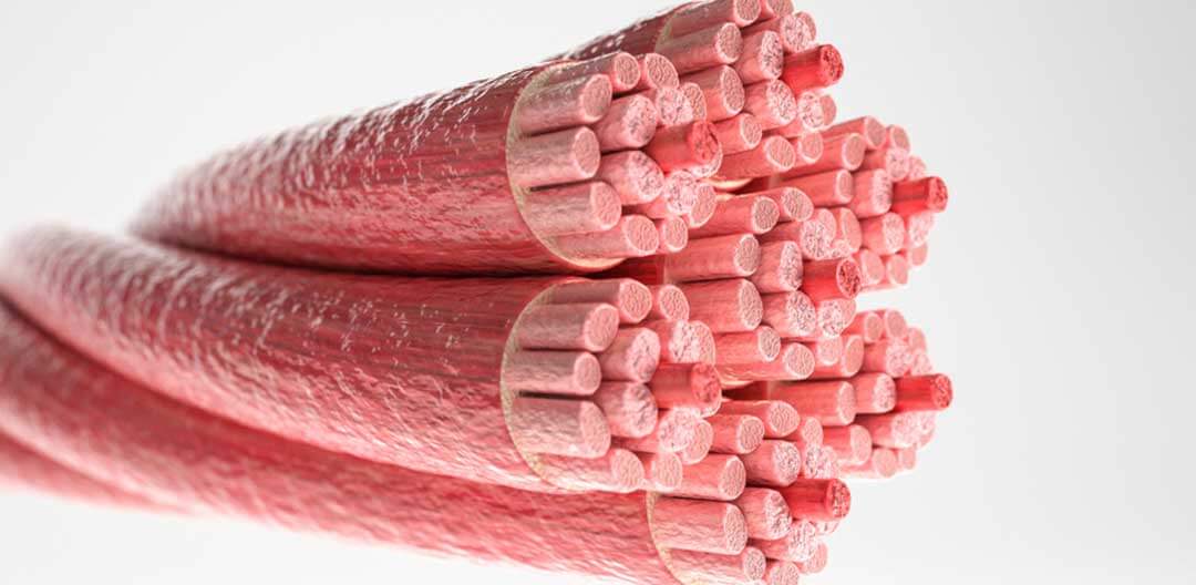 Efeito intubacao relaxamento muscular - Doutor Aprende