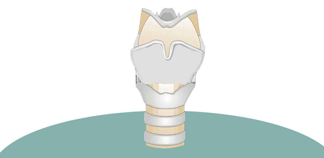 Revisao manobra selick - Doutor Aprende