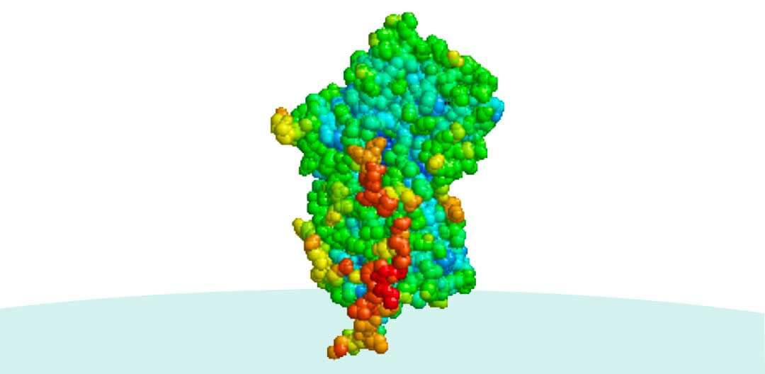 Deficiencia alfa antitripsina - Doutor Aprende